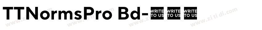 TTNormsPro Bd字体转换